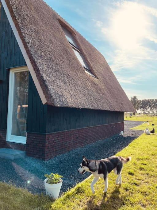 Cozy Appartment On The Farm ลูเนน อัน เดอ แวคท์ ภายนอก รูปภาพ