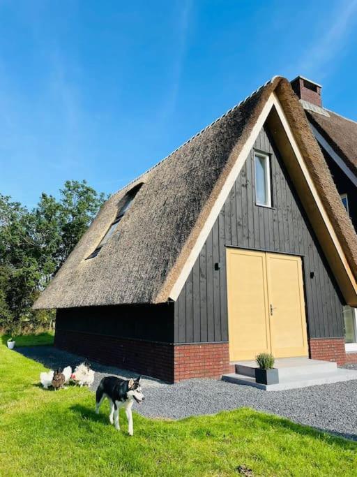 Cozy Appartment On The Farm ลูเนน อัน เดอ แวคท์ ภายนอก รูปภาพ